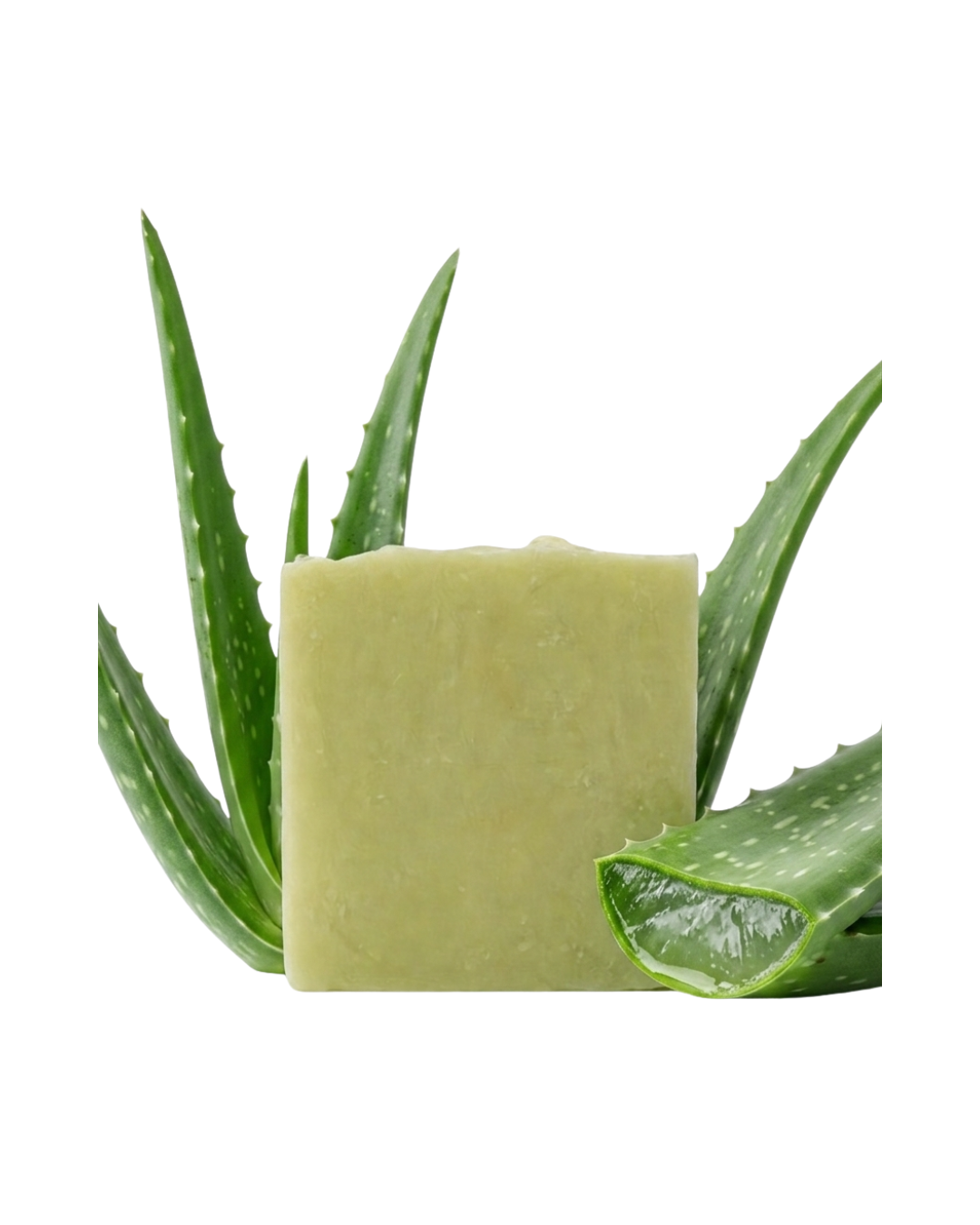 🧼 JABÓN ARTESANAL CON JUGO & ACEITE DE SÁBILA (ALOE VERA)